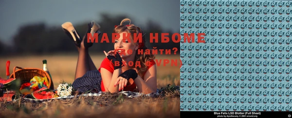 мдпв Арсеньев